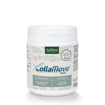 Aniforte CollaMove® dog Gelenkfunktion & Agilität