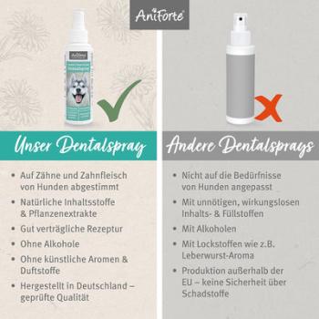 Aniforte Denta Clean & Care Dentalspray 100ml