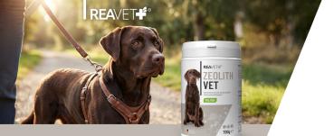 ReaVET Zeolith VET für Hunde, Katzen & Pferde – 700g – Natürliche Entgiftung & Darmreinigung – 100% Klinoptilolith Pulver