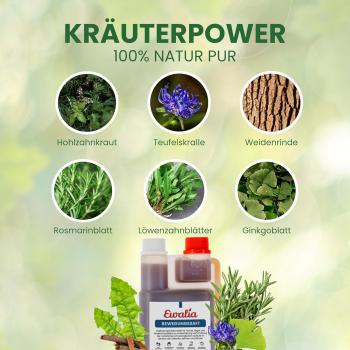 Preview: Zusammensetzung aus Teufelskralle Weidenrinde und Ginkgoblatt ohne Zucker EWALIA Bewegungssaft