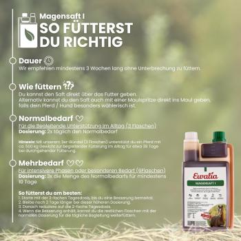Preview: Einfache Dosierung und Anwendung des flüssigen Magensafts über das tägliche Pferdefutter