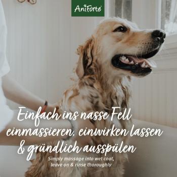 Aniforte Fellharmonie Shampoo Kokos 200ml für Hunde