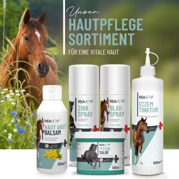 Reavet Haut Akut Balsam 250ml für Haut und Fell