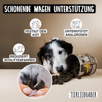Preview: Hund zeigt das typische Schlittenfahren (Rutschen auf dem Po) als Symptom für volle Analdrüsen.