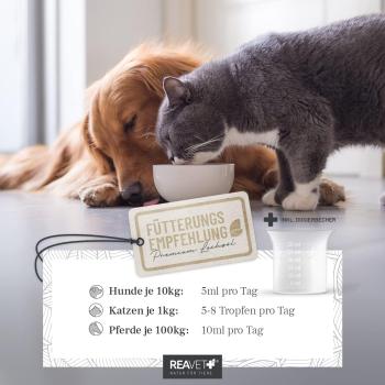 Dosierungstabelle für Hunde, Katzen und Pferde auf ReaVET Lachsöl