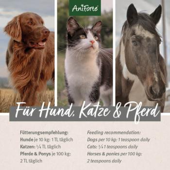 AniForte® Omega-3 Lachsöl Hunde Pferde Katzen EPA + DHA + ALA-Fettsäuren