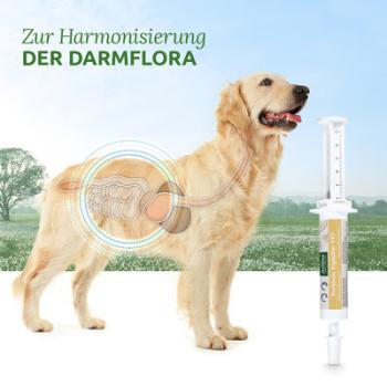 Aniforte Prebiotic TopinPur VET Unterstützt die Darmschleimhaut