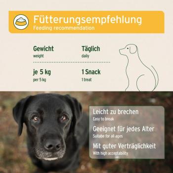 AniForte Magen & Darm-Snack für Hunde 300g