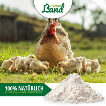 Hühnerland natürliche Kieselgur gegen Parasiten und rote Vogelmilbe 4,2kg