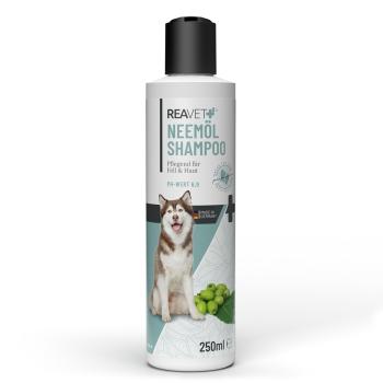 ReaVET Neemöl Shampoo für Hunde - Pflegend für Fell & Haut