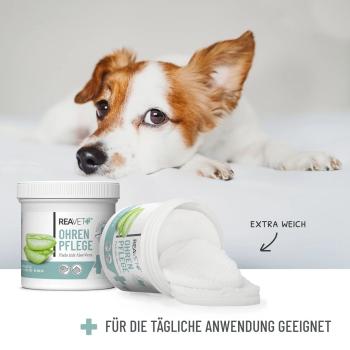 REAVET Ohrenpflege Pads für Hunde & Katzen mit Aloe Vera | 100 Stück