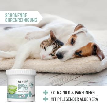 REAVET Ohrenpflege Pads für Hunde & Katzen mit Aloe Vera | 100 Stück