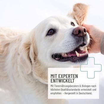 REAVET Ohrenpflege Pads für Hunde & Katzen mit Aloe Vera | 100 Stück