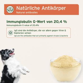 Aniforte Premium Colostrum 100g für Hunde und Katzen