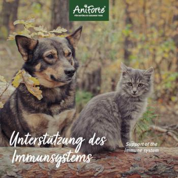 Aniforte Propolis Pulver  20g - Unterstützung des Immunsystems