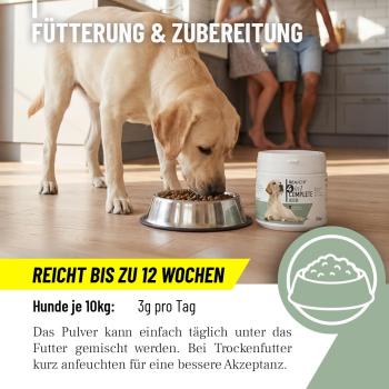 ReaVET 4in1 für Hunde – Gelenke, Verdauung, Immunsystem & Fellglanz – Natürliches All-in-One Pulver 250g