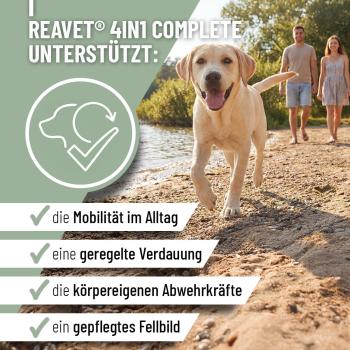 4in1-complete-dog-250g laufende Hund
