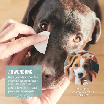 Preview: ReaVET Augenpflege Pads: Sanfte und effektive Reinigung für die Augen von Hunden und Katzen