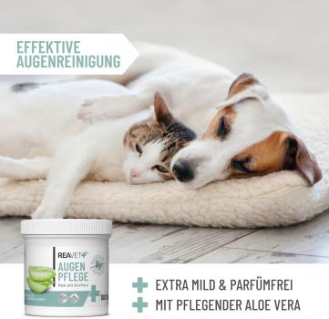 ReaVET Augenpflege Pads: Sanfte und effektive Reinigung für die Augen von Hunden und Katzen