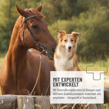 Preview: Hochkonzentrierter Kräutersaft als Schleimlöser zur Entlastung der Atemwege bei Pferdehusten
