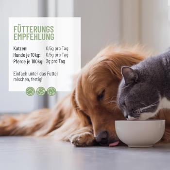 Reavet Grünlippmuschel Pulver Extrakt- für Hunde, Katzen & Pferde