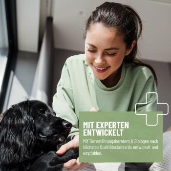 Reavet Grünlippmuschel Pulver Extrakt- für Hunde, Katzen & Pferde