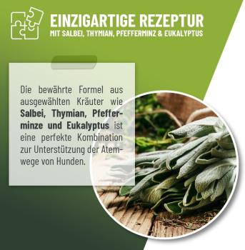 Preview: Pflanzlicher Hustensaft mit Thymian und Eibischwurzel für freie Atemwege