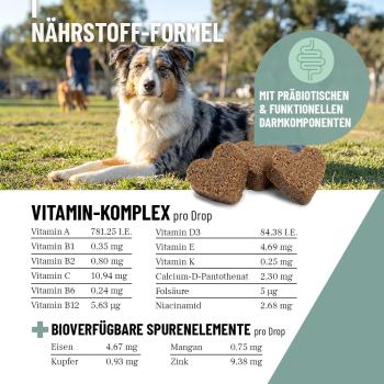Preview: Vollständige Vitamin-Übersicht: 12 Vitamine und organische Spurenelemente für Hunde.