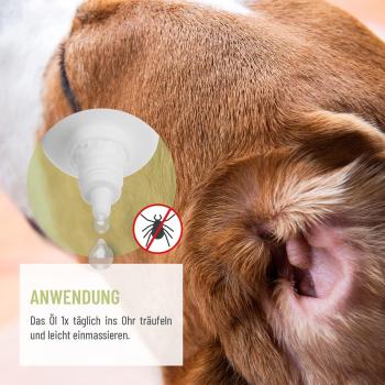 Preview: Dosierung und Anwendung von REAVET Ohrmilbenöl bei kleinen und großen Hunden pro Ohr täglich