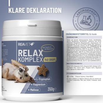 Vorteile der ReaVET Relax Komplex Drops für das Nervensystem des Hundes.