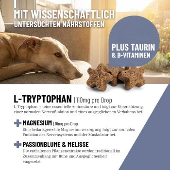 Preview: Natürliche Pflanzenextrakte aus Passionsblume und Melisse zur Stressreduktion beim Hund.