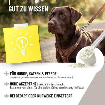 ReaVET Zeolith VET für Hunde, Katzen & Pferde – 700g – Natürliche Entgiftung & Darmreinigung – 100% Klinoptilolith Pulver