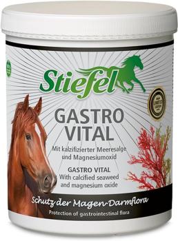 Stiefel Gastro Vital 1 kg Ergänzungsfutter Pferd Magengesundheit Mineralien