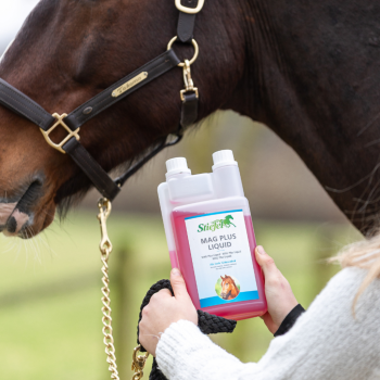 Preview: STIEFEL Mag Plus Liquid | Hochverfügbares Magnesium & Vitamin B12 für Pferde - 1 Liter
