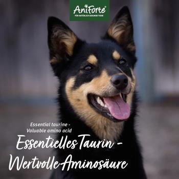 Aniforte Taurin Pulver für Hunde