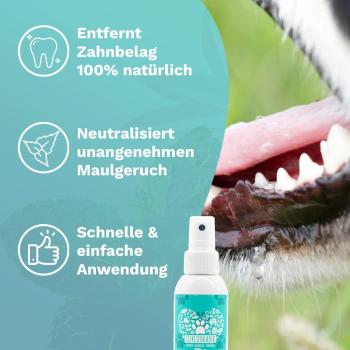 TIERLIEBHABER – Dentalspray für Hunde & Katzen entfernt Zahnbelag und Zahnstein  100% natürlich