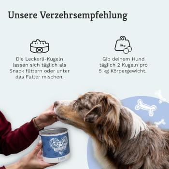 Tierliebhaber Z-Snack für Hunde: Der gesunde Kauspaß für deinen Liebling mit Zeckenschutz!