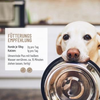 ReaVET Ulmenrinde Plus  - Natürliche Darmsanierung für Hunde und Katzen