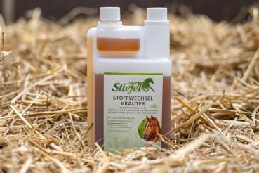 Ein vitales und gesundes Pferd auf der Weide dank optimaler Unterstützung des Stoffwechsels durch Vital-Animal