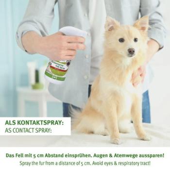 Aniforte Zeckenspray für Hunde - effektives Zeckenspray