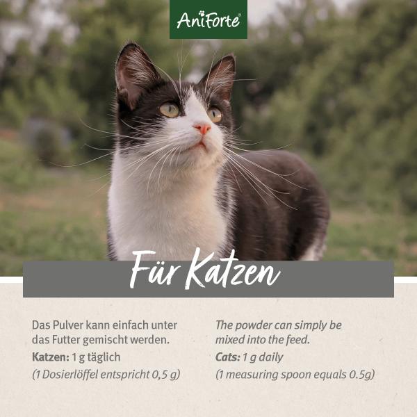 Aniforte BARF Complete Cat Rundumversorgung für Katzen