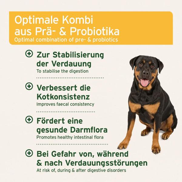 Aniforte Probiotika und Präbiotika Tabs  für den Hund 90 Stück