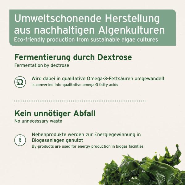 AniForte Algenöl 50ml – Vegane Omega-3-Power für Haut, Fell & Stoffwechsel