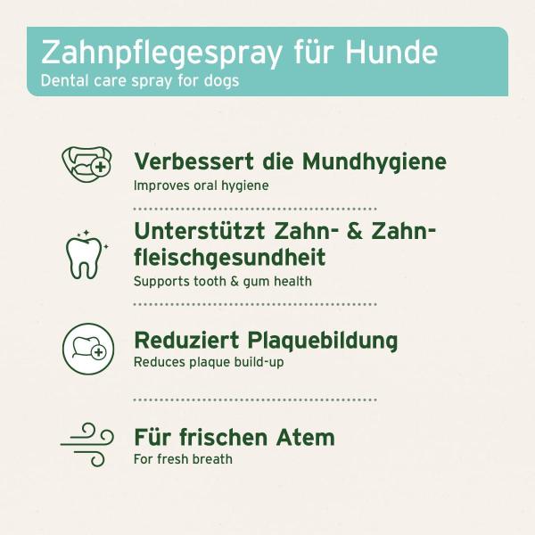 uftragen von AniForte Dentalspray mit einem weichen Tuch bei geräuschempfindlichen Hunden