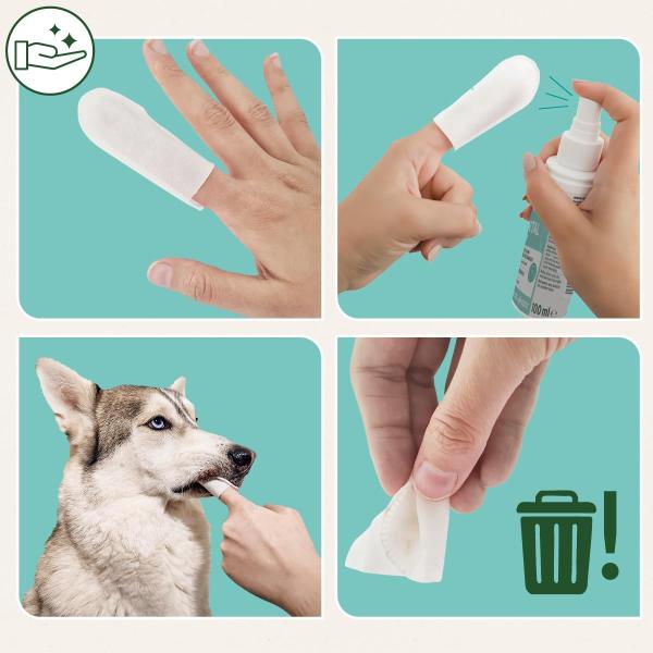 Direkte Anwendung des AniForte Dentalsprays auf die Zähne und das Zahnfleisch eines Hundes