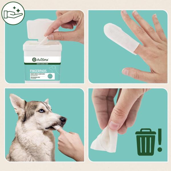 Anwendung des AniForte Denta Clean Fingerpads am Zeigefinger zur Zahnreinigung beim Hund