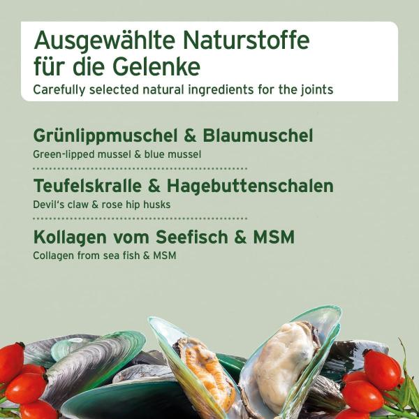 Fütterung eines AniForte Gelenk Snacks aus der Hand als gesunde Belohnung