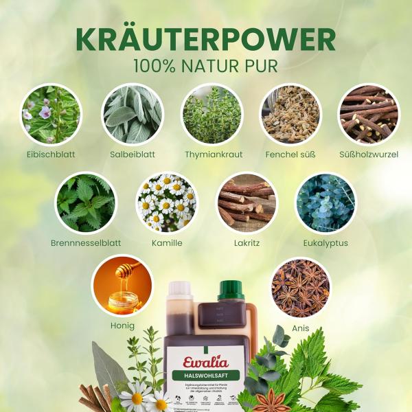 Ewalia Kräuter Hustensaft  Halswohlsaft für Pferde 1L Unterstützung der Atemwege