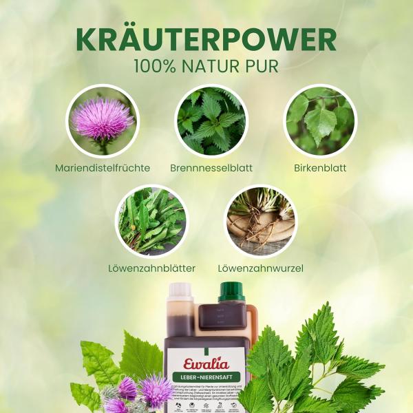 Ewalia Leber-Nierensaft 1L – Natürliche Unterstützung für Entgiftung & Fellwechsel bei Pferden