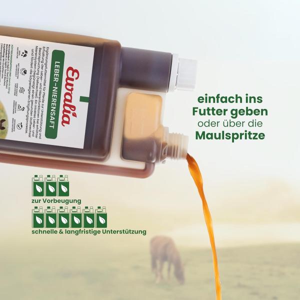 Kräutersaft für Pferde – fördert Entgiftung und Stoffwechsel natürlich